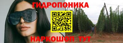 МДПВ Партизанск