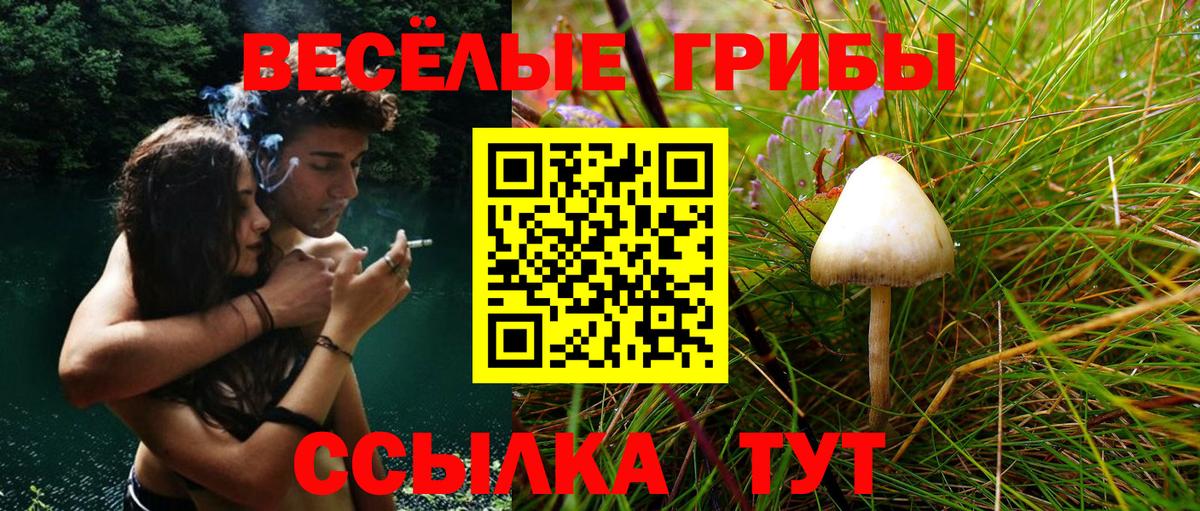 Славянск-на-Кубани  Псилоцибиновые грибы ЛСД  Вход с VPN 